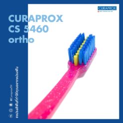 CS 5460 Ortho