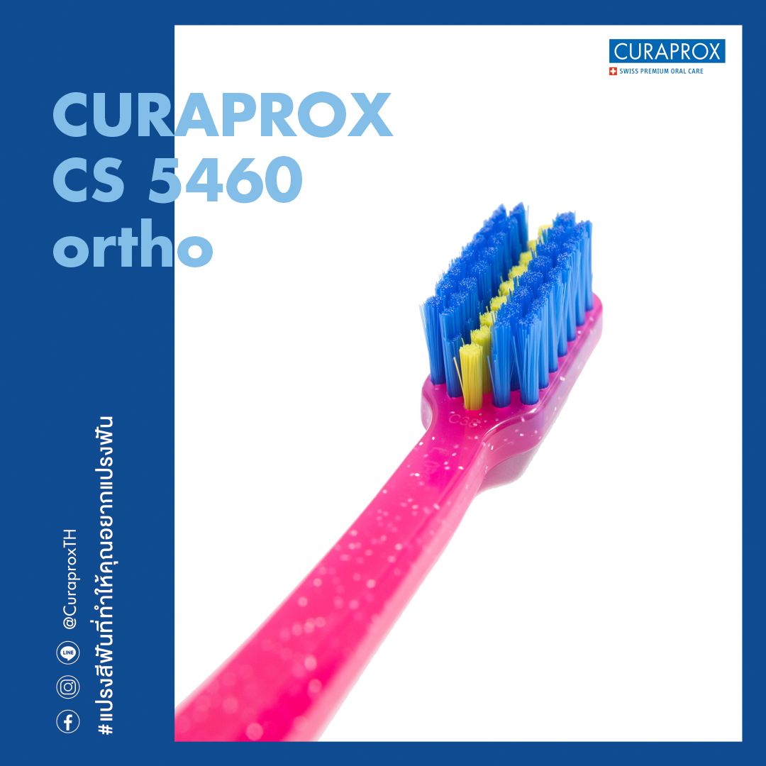 CS 5460 Ortho